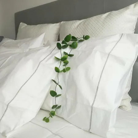 Apartment Da Escudeiro